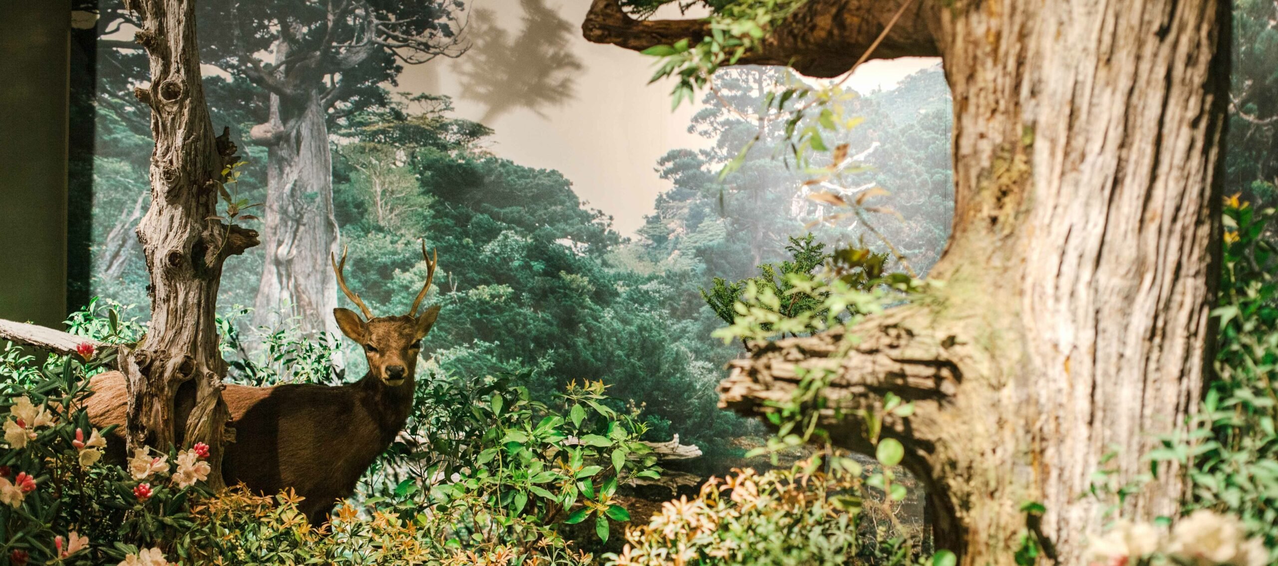 🏛️ 가고시마 현립 박물관(가고시마 켄리츠 하쿠부츠칸) 이미지 4